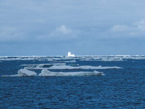 And the further South you go, the bigger they get! :-)