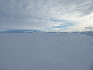 Here the difference between sea ice and ice shelf (in the distance) is apparent. I'll never actually appreciate how many types of water there are, but there are many!