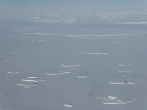 Icebergs in ice!