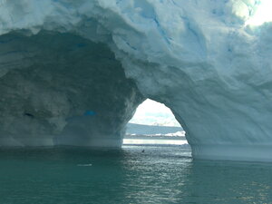 Spot the seal!